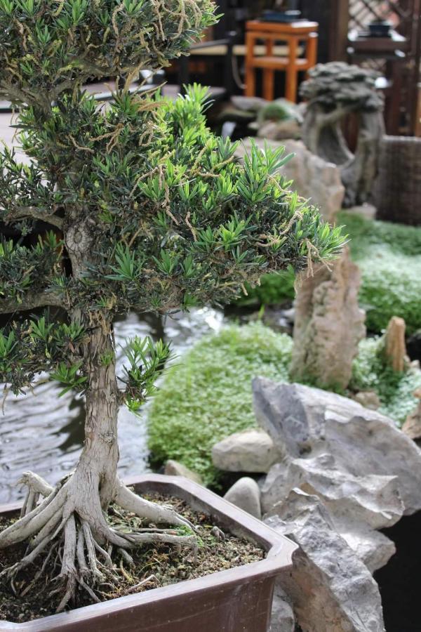 Zen Guest House - Museu Do Bonsai Sintra Exterior photo